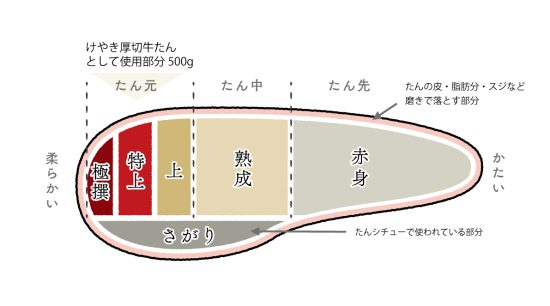 牛たんの部位