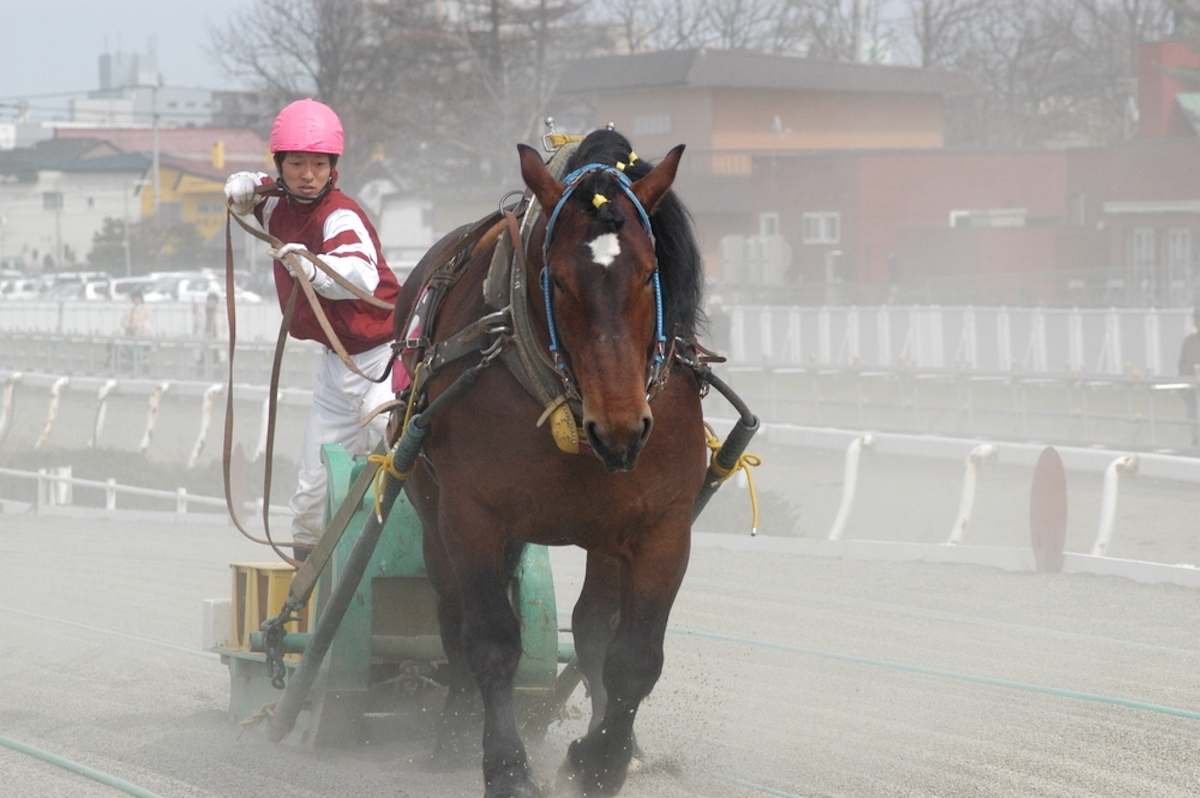 競馬