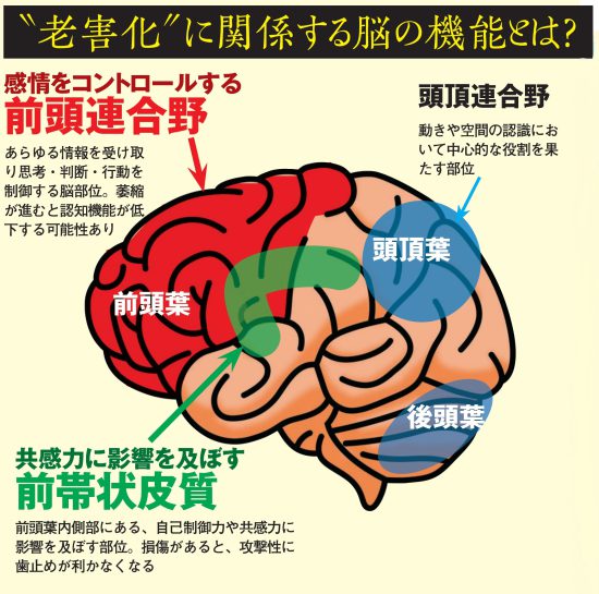 迷惑老人