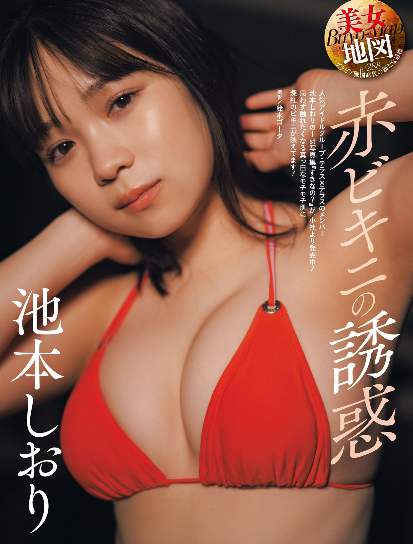 美女地図　池本しおり