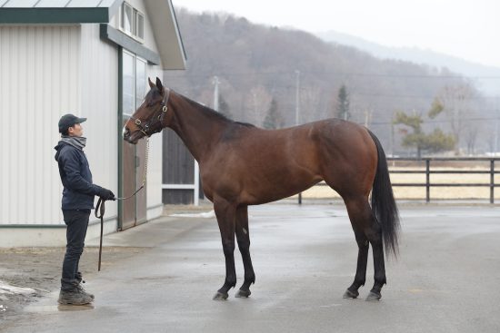 競馬