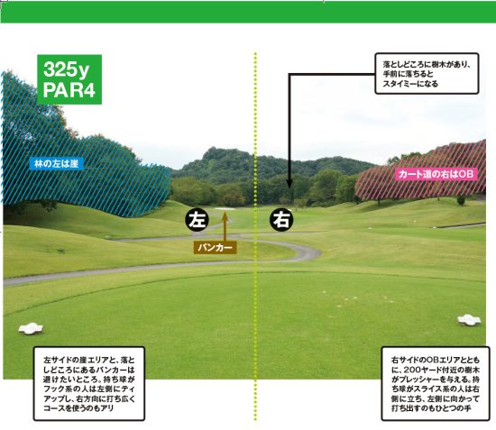 三觜ティーショット二分割