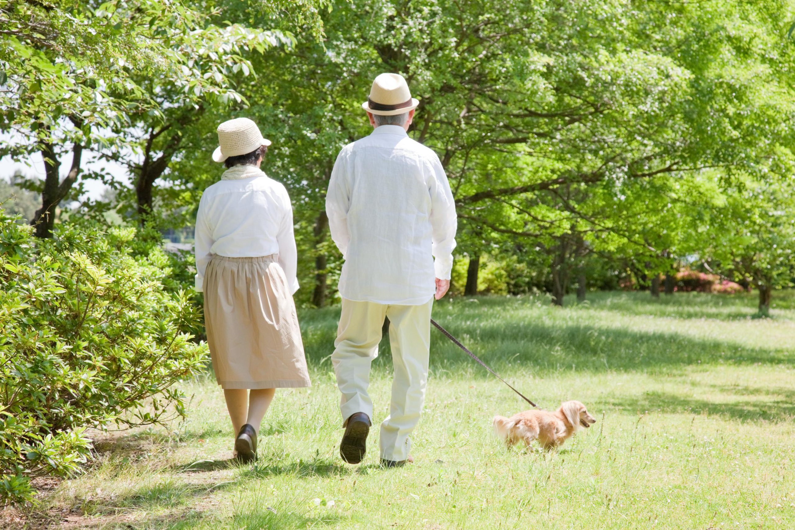 60代になっても仲がいい夫婦