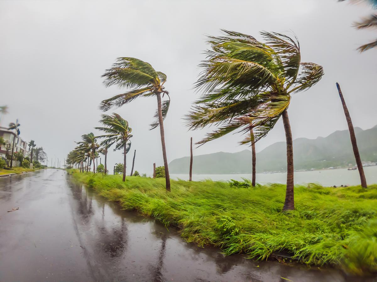 台風