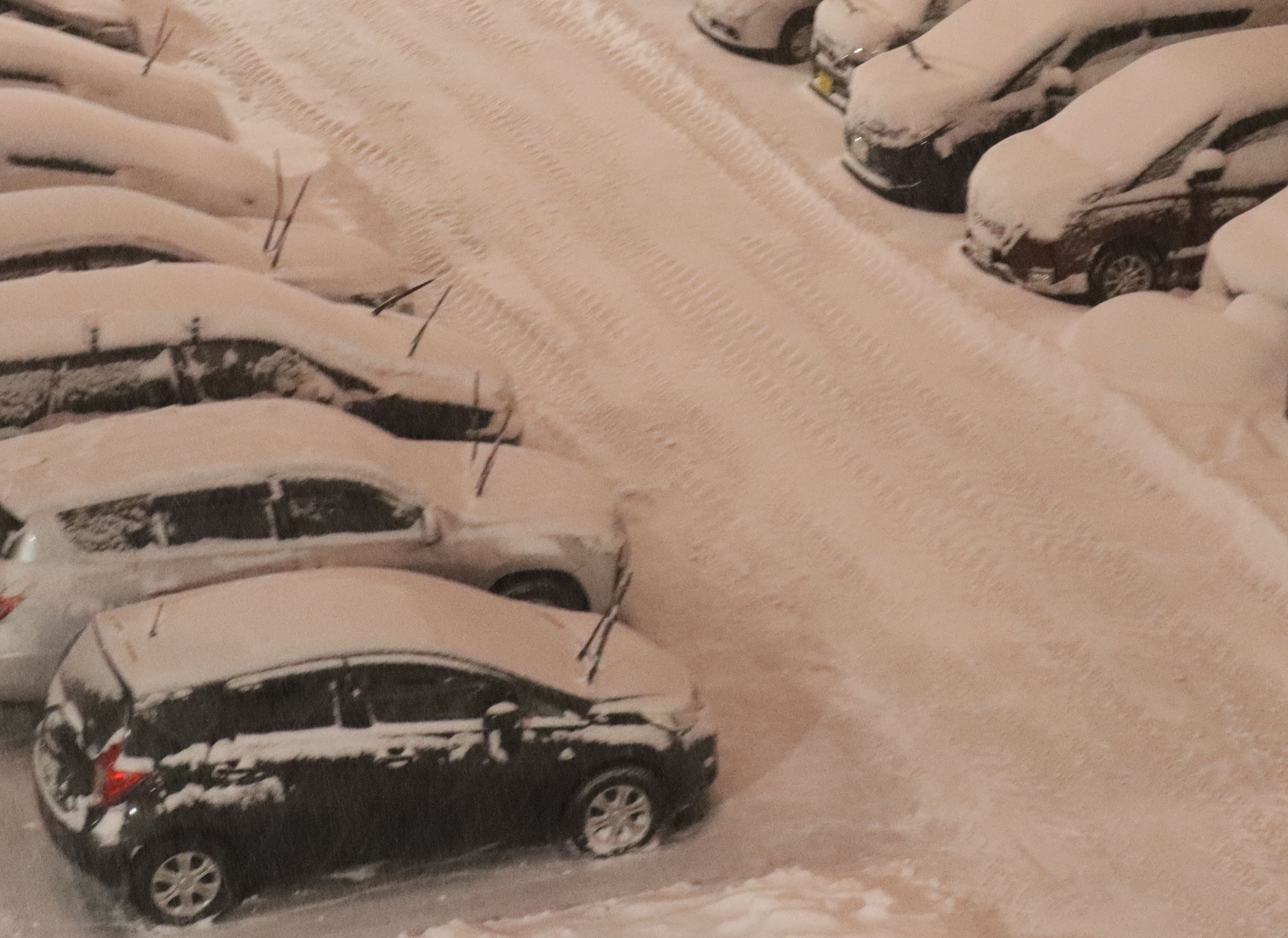 車が雪に埋もれる