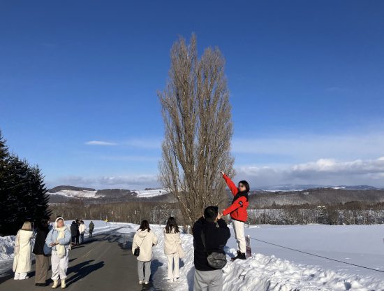 『ケンとメリーの木』では、立入禁止の看板の前でポーズを取る外国人カップルが
