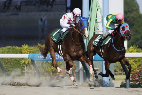 競馬